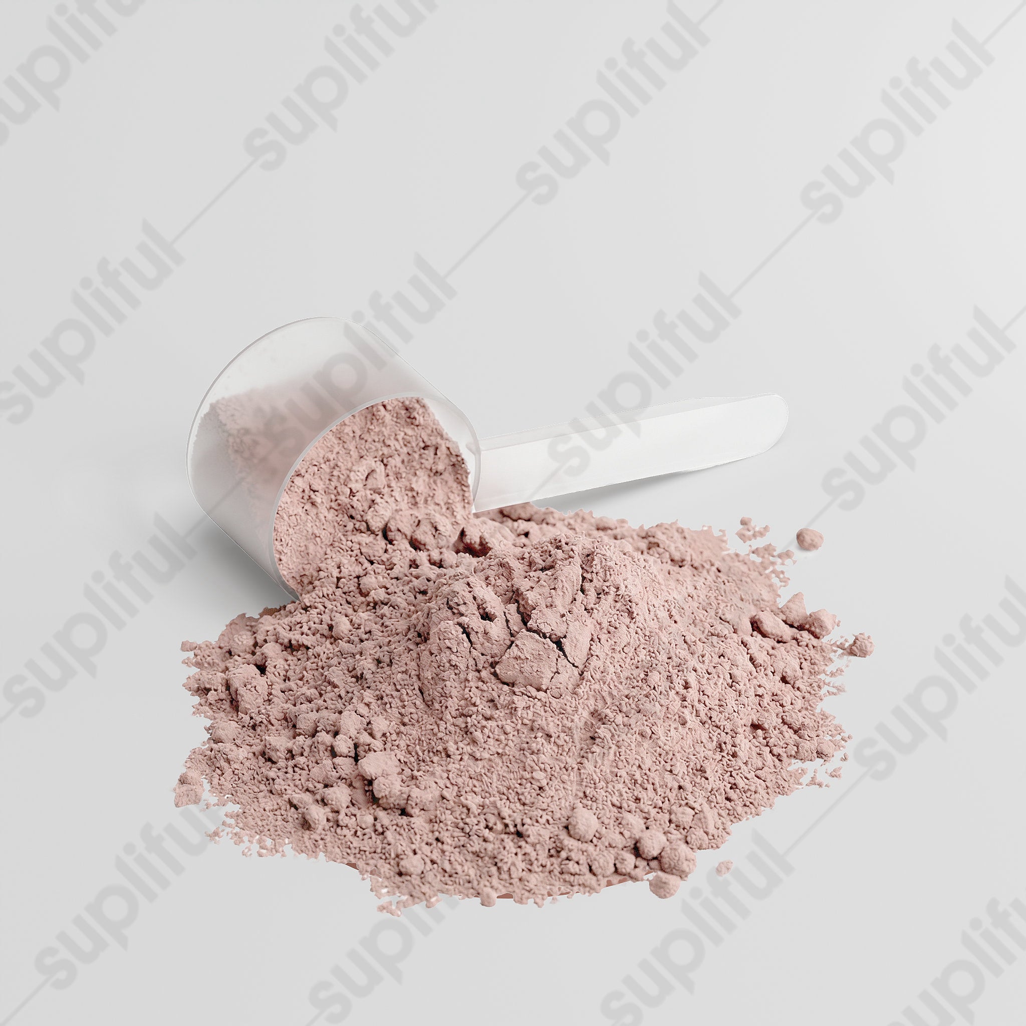 100% Whey Protein (Vanilla)